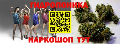 стаф Пушкино