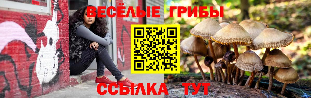 Псилоцибиновые грибы Cubensis  Вход с VPN  Псилоцибиновые грибы MAGIC MUSHROOMS  Зеленодольск 